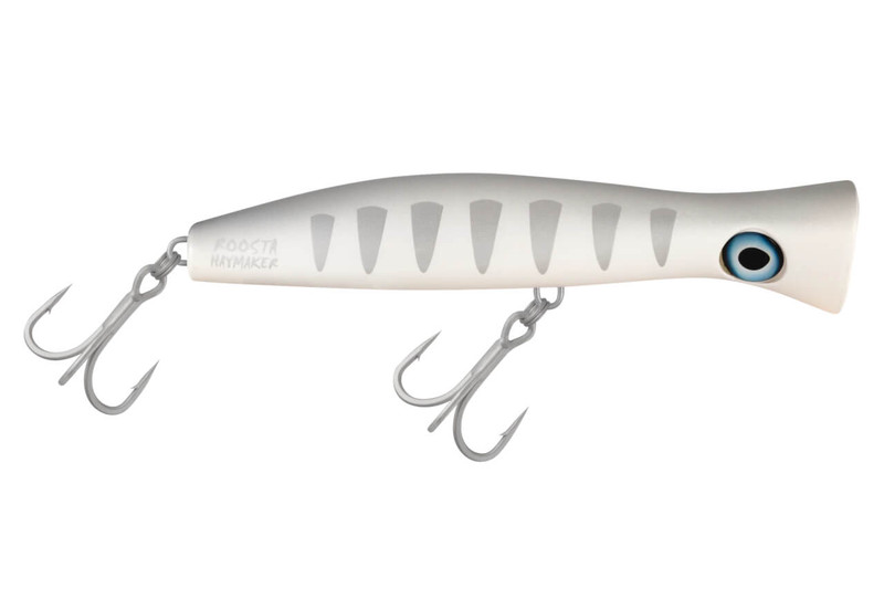 SILVER SHADOW