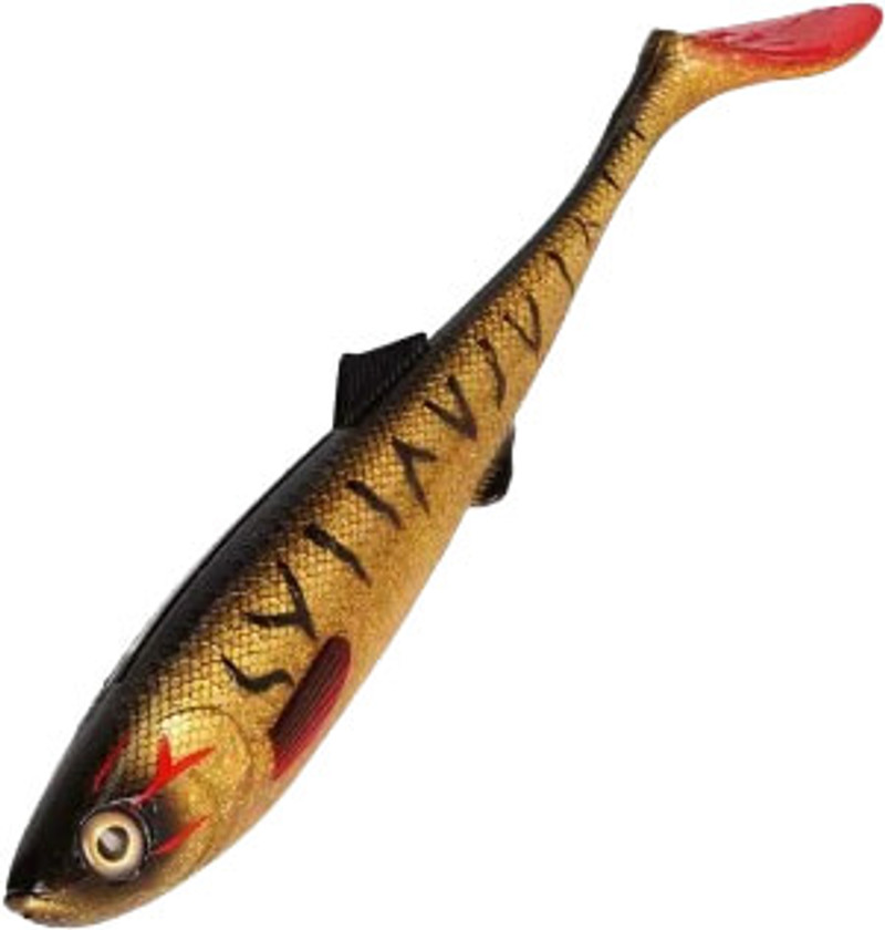 SPOTTED BULLHEAD 