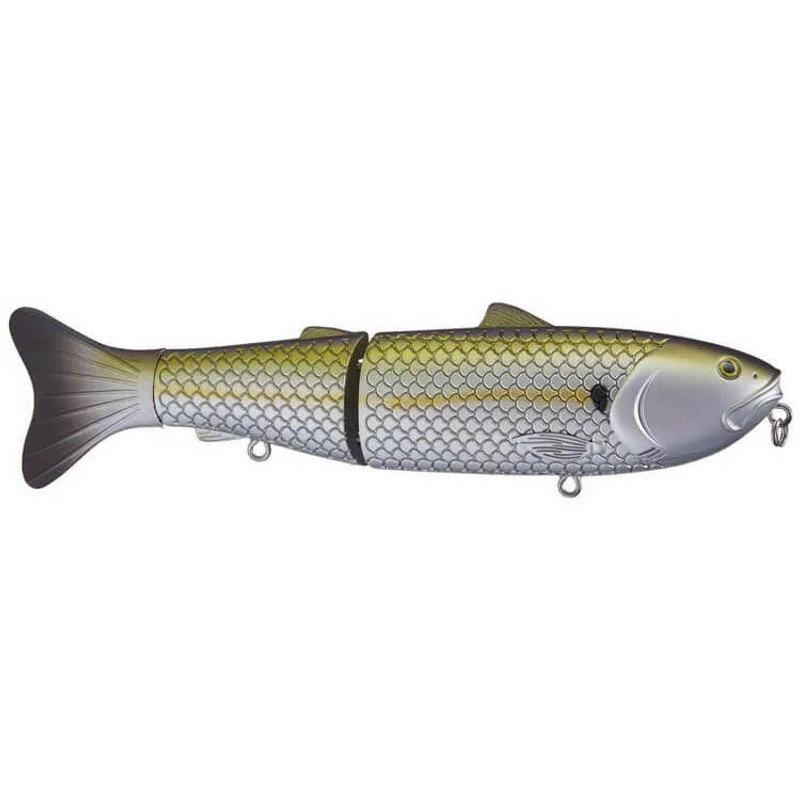 SUMMER SHAD