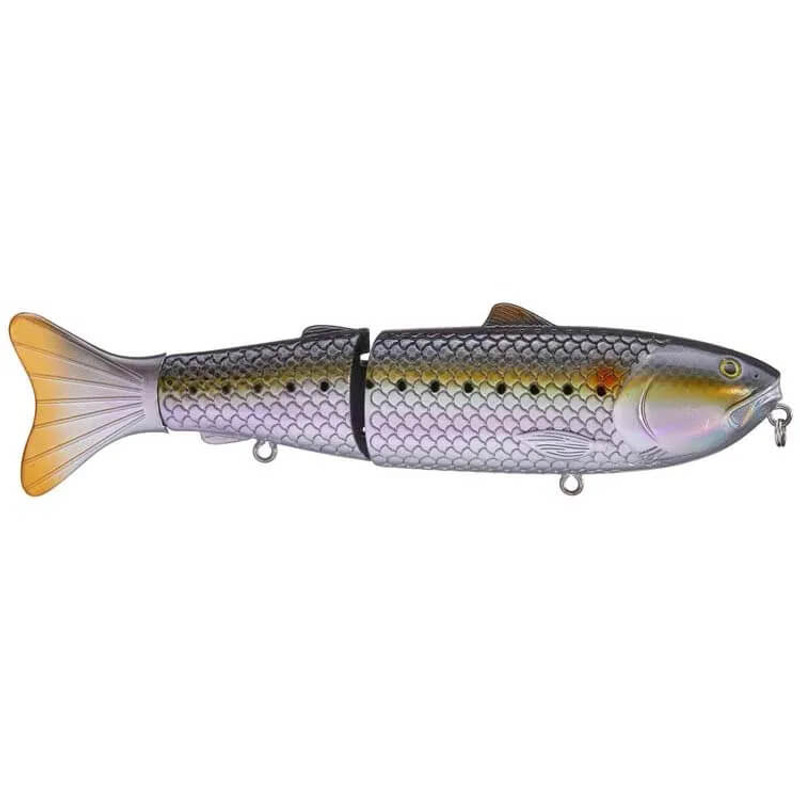 SARDINE
