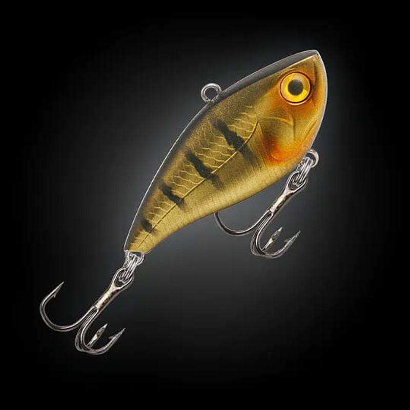 GOLDEN GUDGEON