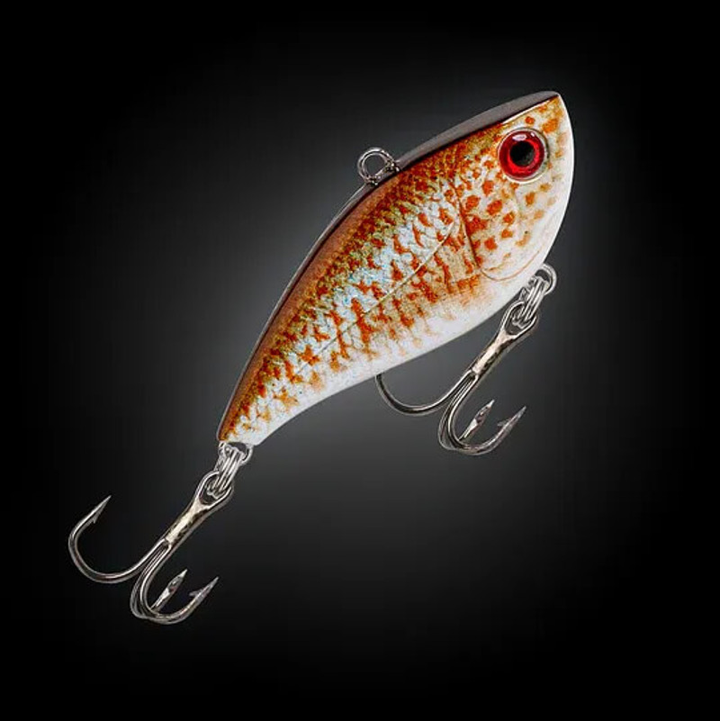 SPANGLED PERCH