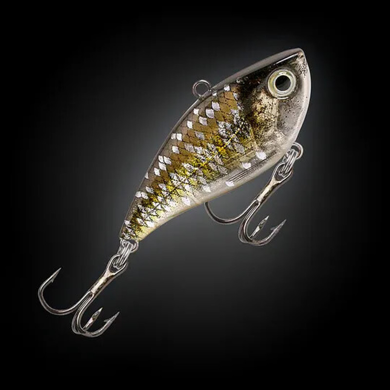 SPOTTED HERRING