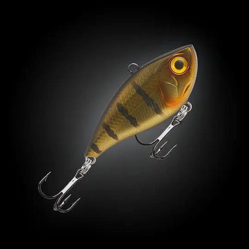 GOLDEN GUDGEON