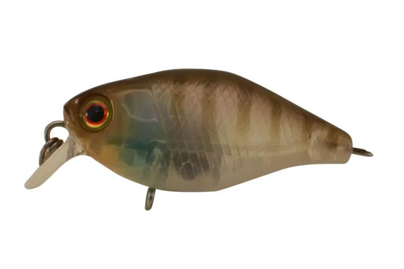 GHOST GILL