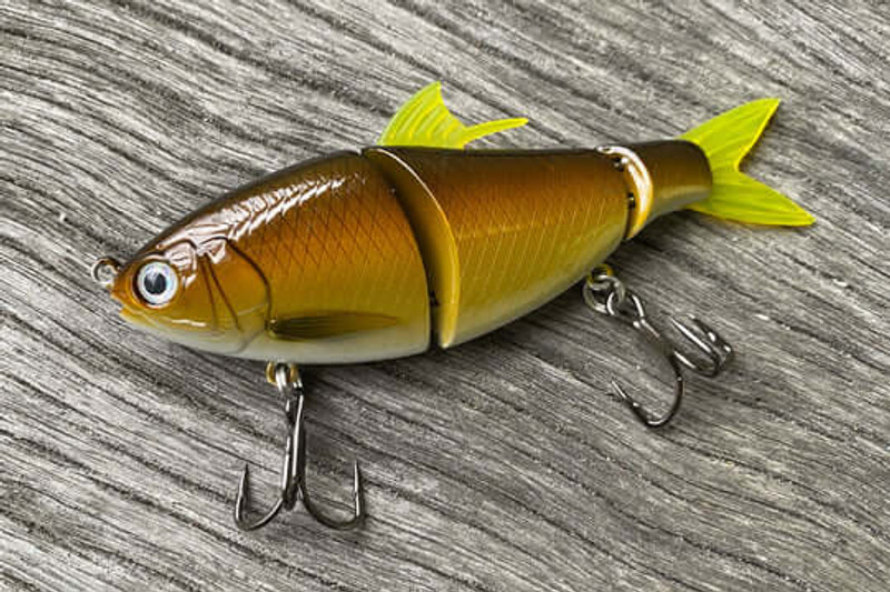 AUSTRALIAN BASS