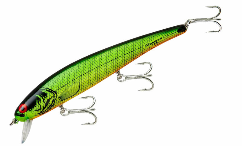 FIRE RIVER MINNOW