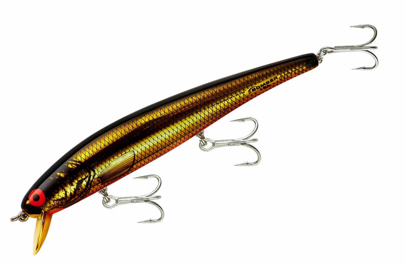 GOLD CHROME/ORANGE
