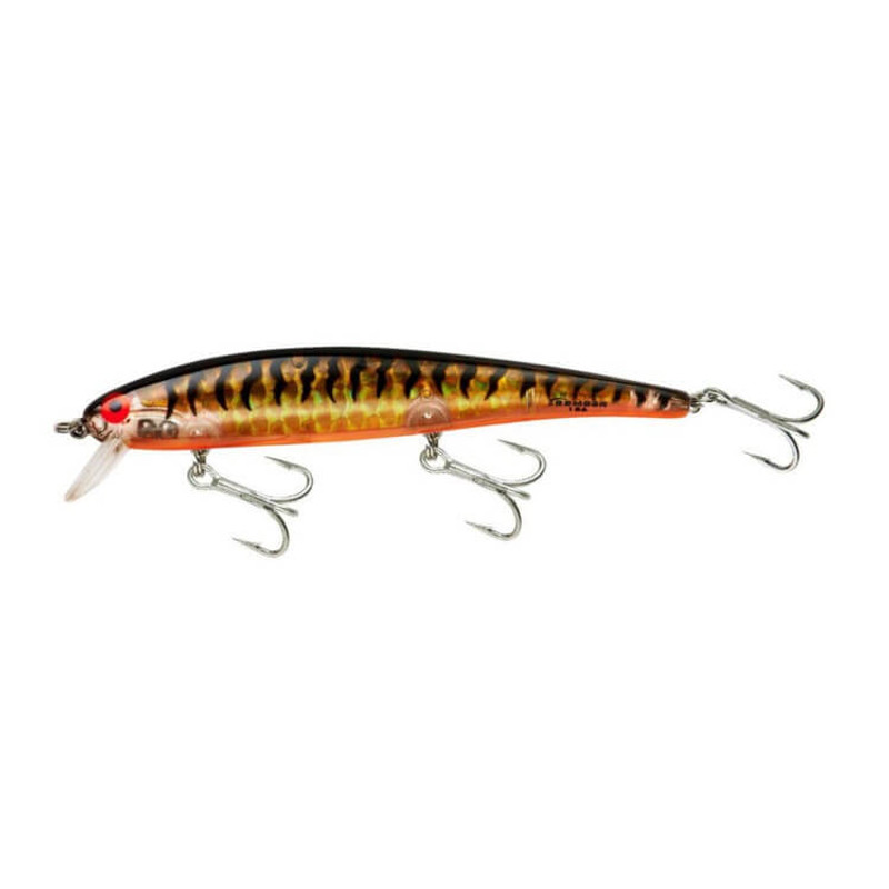 GOLD PRISM BLACK BACK ORANGE