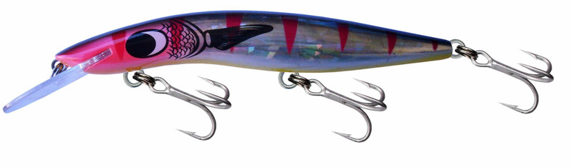 BLACK MULLET DAZZLER