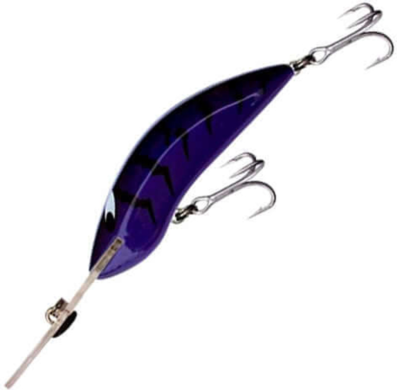 PURPLE BLACK