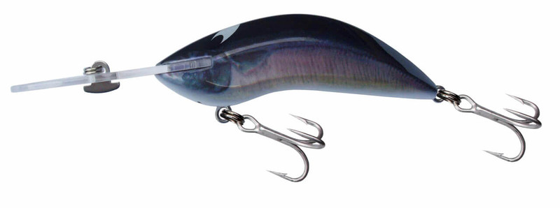 SAURY