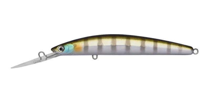 LAZER PERCH