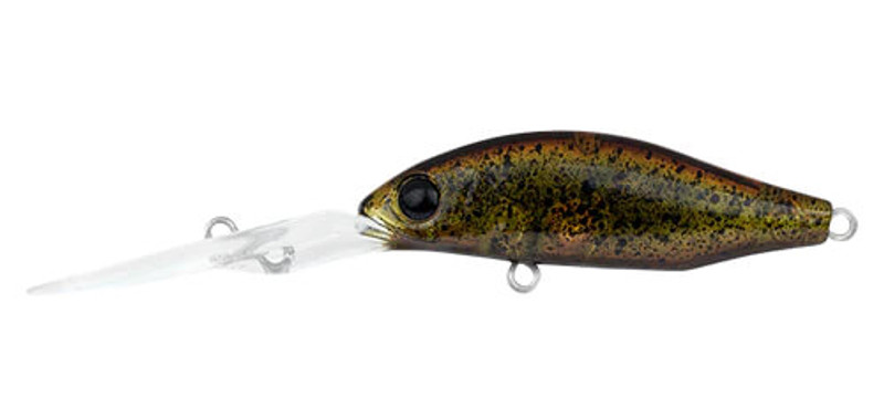 BLOODWORM