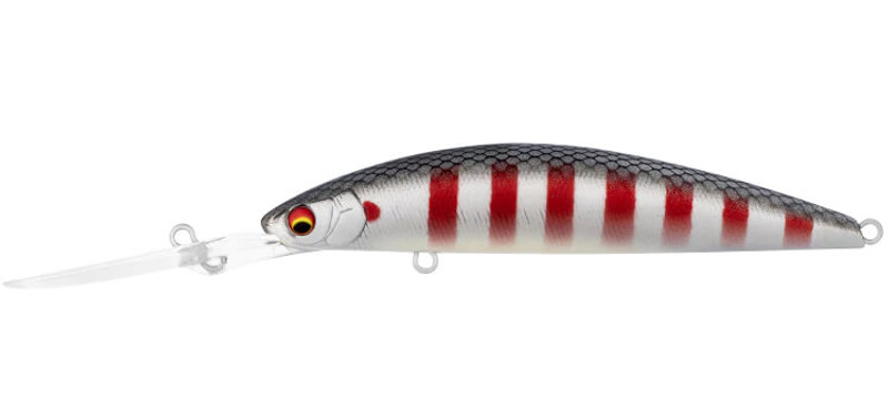 BLEEDING MULLET