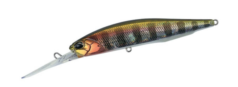 PRISM GILL