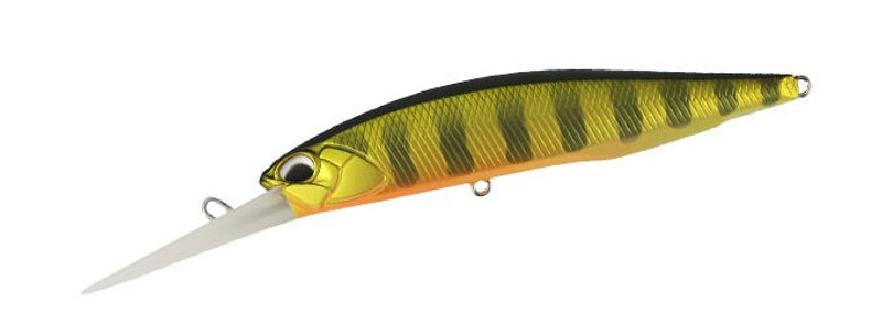 GOLD PERCH