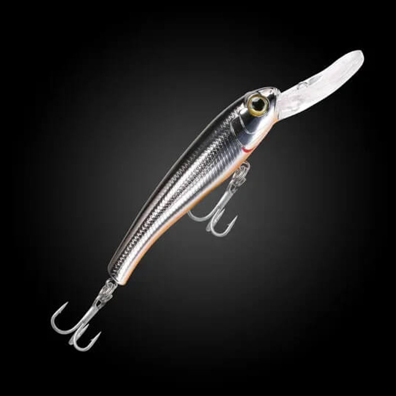 SILVER SHAD