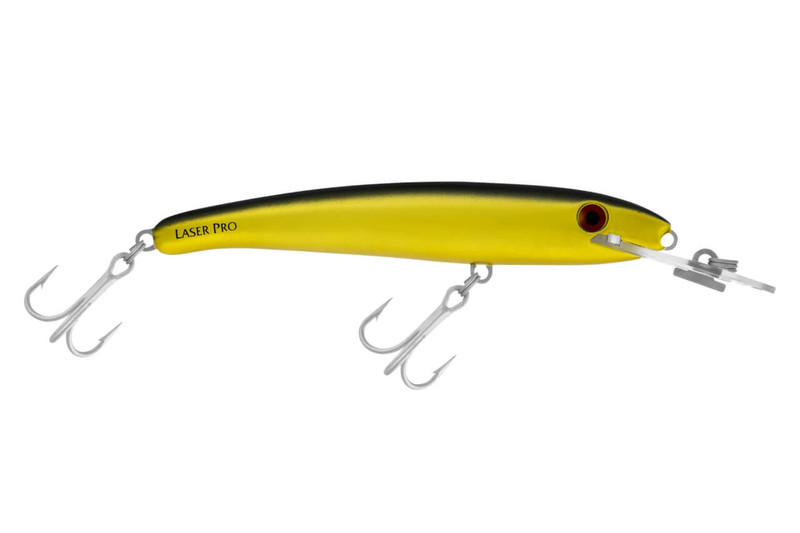 H51 CHROME GOLD BLACK BACK