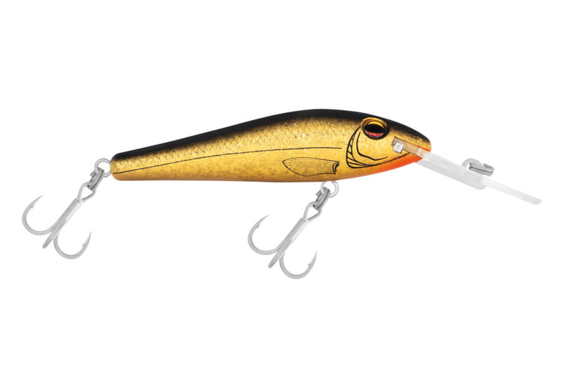 T110 GOLD HERRING