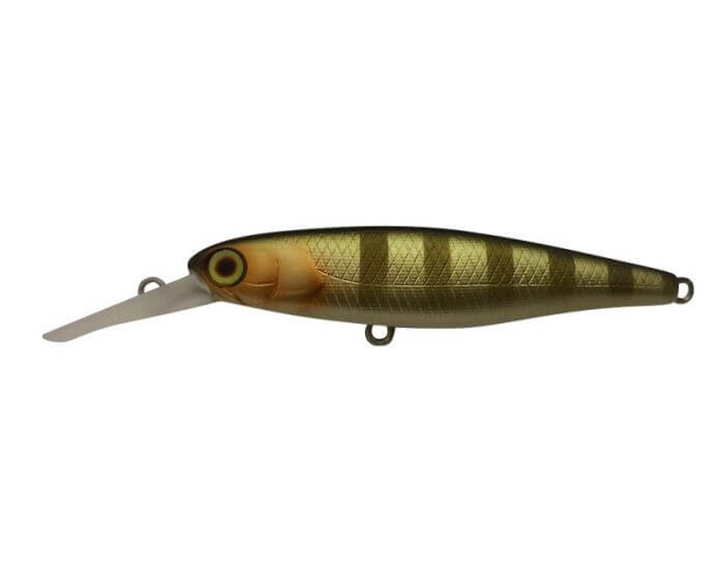 BROWN DOG GILL