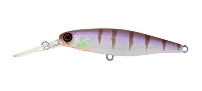PURPLE GILL