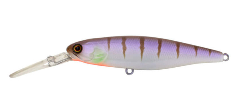 PURPLE GILL