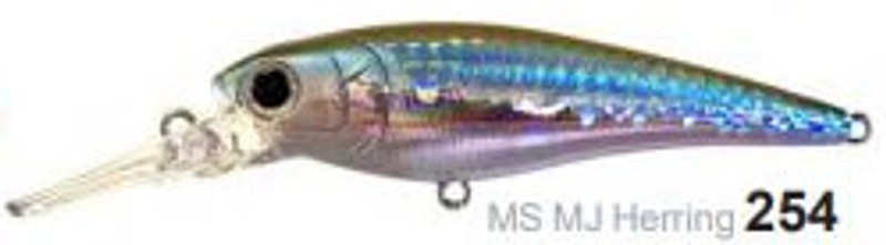 MS MJ HERRING
