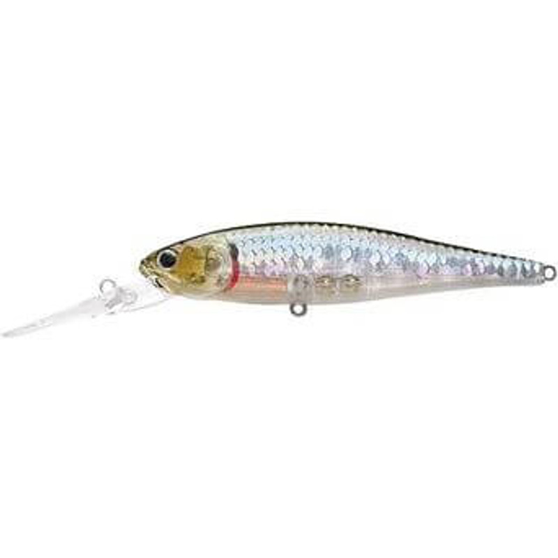GHOST MINNOW
