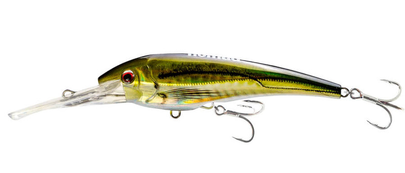 OLIVE BACK SHAD