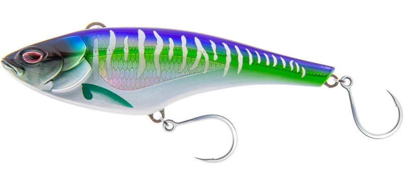 SPANISH MACKEREL