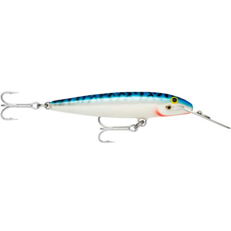 SILVER MACKEREL