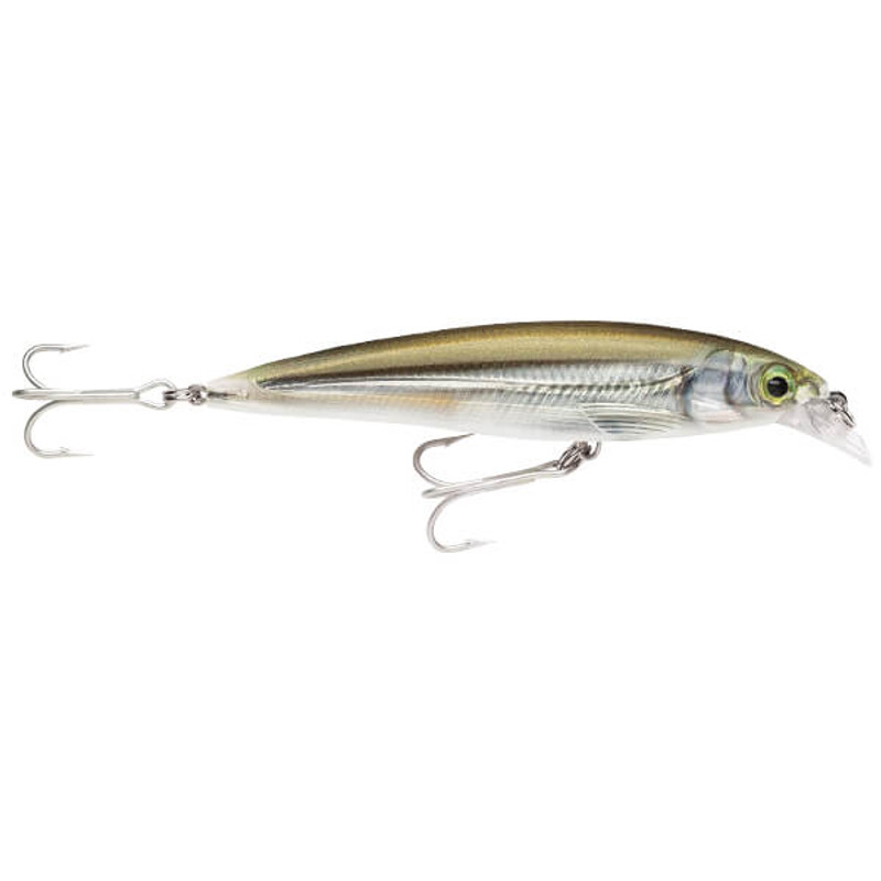 MANGROVE MINNOW