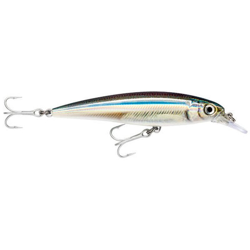 ANCHOVY