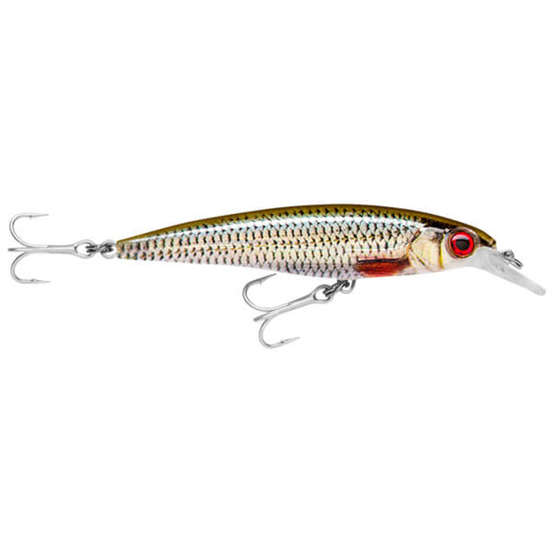 LIVE ROACH