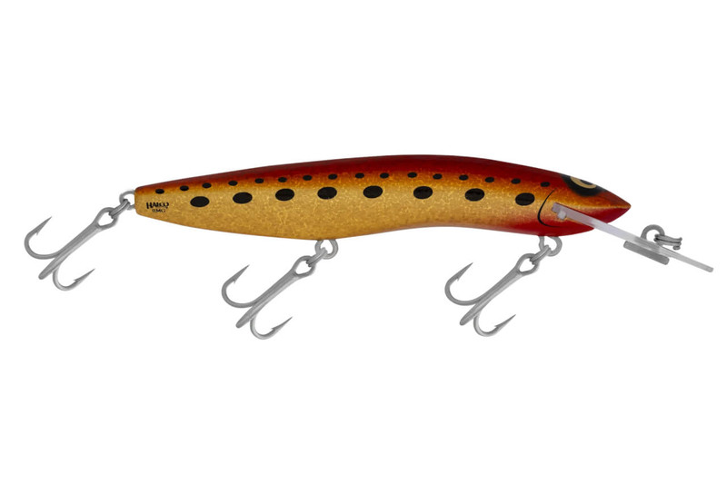 H70 KING BROWN