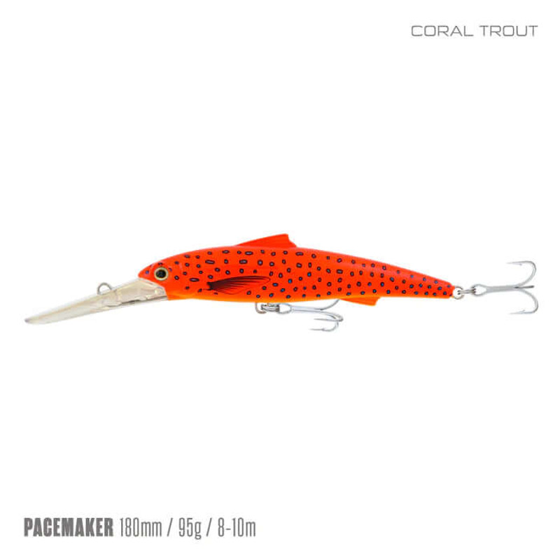 CORAL TROUT