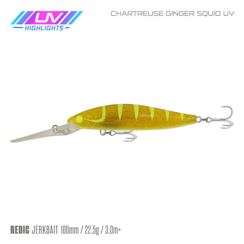 CHATREUSE GINGER SQUID