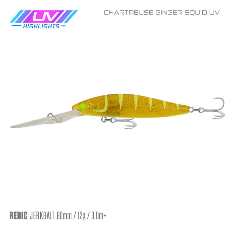 CHART GINGER SQUID