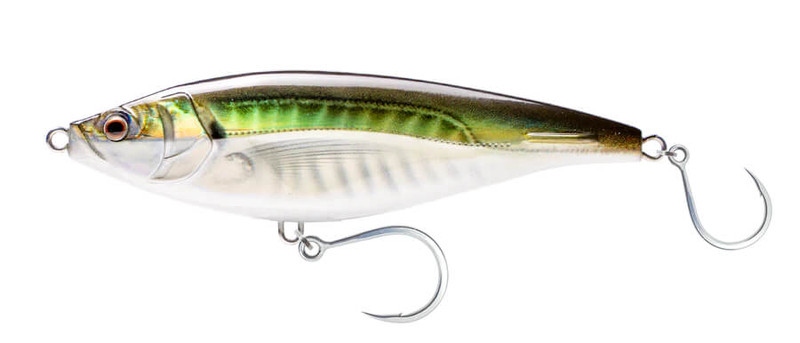 OLIVE BACK SHAD