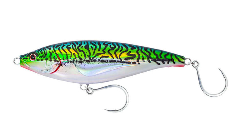 SILVER GREEN MACKEREL