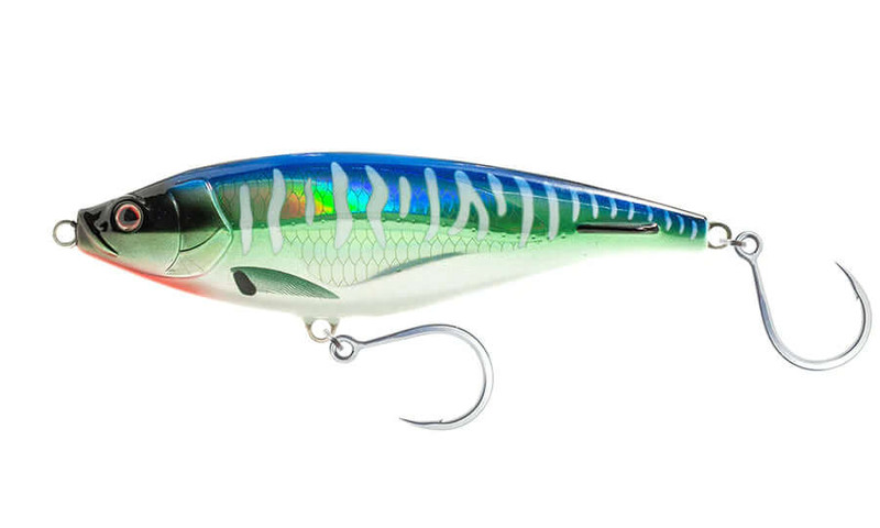 SPANISH MACKEREL