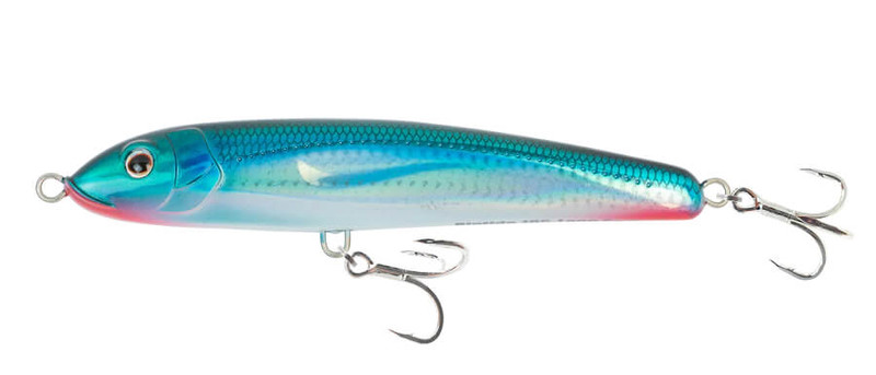 CANDY PILCHARD