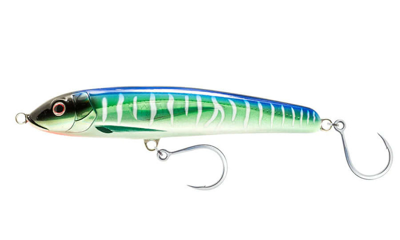 SPANISH MACKEREL