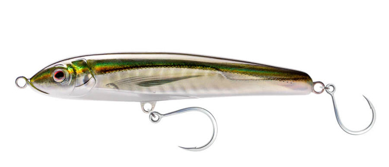OLIVE BACK SHAD