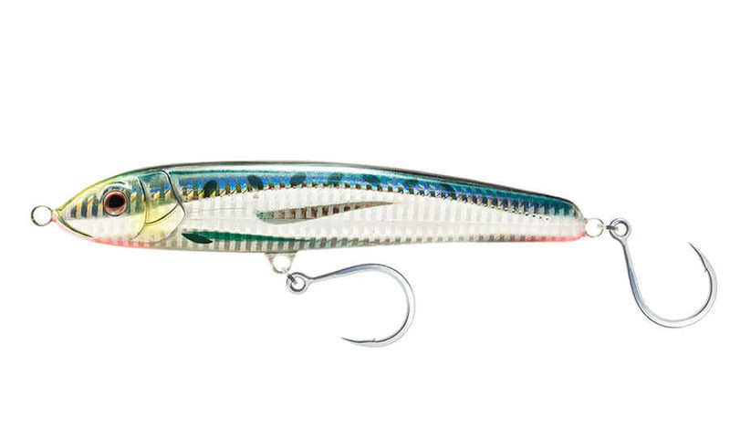 SARDINE