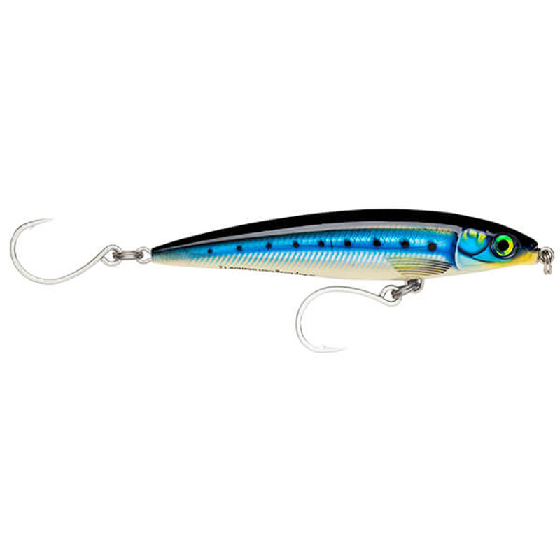 HD BLUE SARDINE