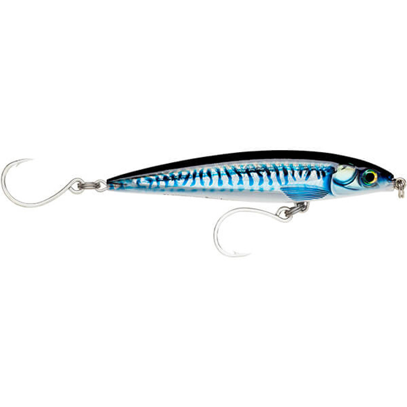 HD SILVER BLUE MACKEREL