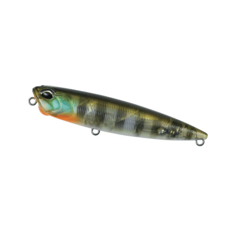 GHOST GILL