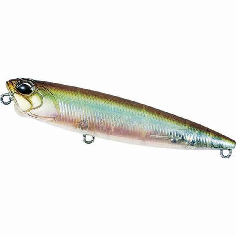 GHOST MINNOW